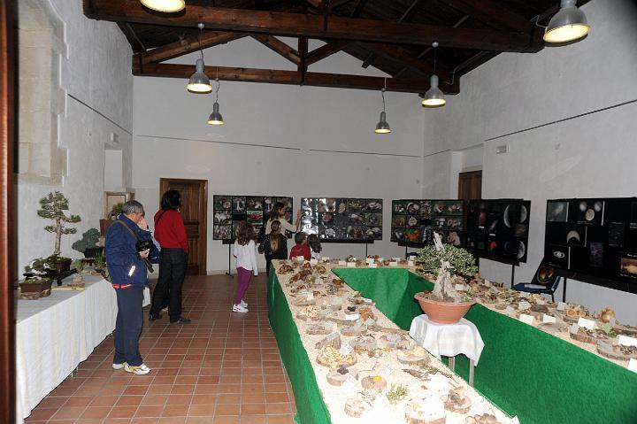 2Mostra Micologica Avola 13.11.2010 (97).jpg